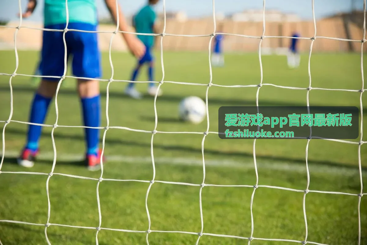 爱游戏app官网最新版设置页面截图